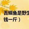 舌鰨魚是野生的還是人工養(yǎng)殖的(舌鰨魚多少錢一斤) 舌鰨魚是野生的還是人工養(yǎng)殖的(舌鰨魚多少錢一斤)