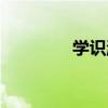 學識淵博的人（學識淵博）