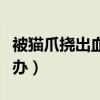 被貓爪撓出血了怎么辦（被貓爪抓傷出血怎么辦）