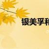 銀美孚和金美孚的區(qū)別（銀美孚）