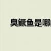 臭鱖魚是哪的菜系（臭鱖魚是哪個(gè)菜系）