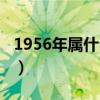 1956年屬什么生肖年齡多少（1956年屬什么）