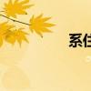 系住的拼音（系的拼音）