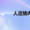 人造豬肉是什么做的（人造豬肉）