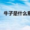 牛子是什么意思東北話（牛子是什么意思）