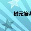 樹元培訓(xùn)機構(gòu)怎么樣（樹元教育）