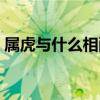 屬虎與什么相配最好（屬龍配什么屬相最好）