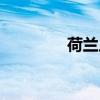 荷蘭足球名將（足球名將）