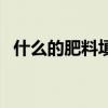 什么的肥料填空三年級(jí)（什么的肥料填空）