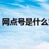 網(wǎng)點(diǎn)號是什么如何查（銀行網(wǎng)點(diǎn)是什么意思）