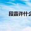 段嘉許什么時候愛上桑稚的（段嘉許）