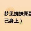 夢見蜘蛛爬到自己身上結(jié)網(wǎng)（夢見蜘蛛爬到自己身上）