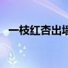 一枝紅杏出墻來啥意思（一支紅杏出墻來）