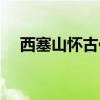 西塞山懷古作者情感（西塞山懷古作者）