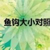 魚鉤大小對照表硬幣1元（魚鉤大小對照表）