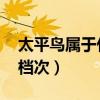 太平鳥屬于什么檔次 知乎（太平鳥屬于什么檔次）