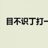 目不識(shí)丁打一什么字（目不識(shí)丁打一生肖）