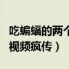 吃蝙蝠的兩個美女情況怎么樣了(美女吃蝙蝠視頻瘋傳) 吃蝙蝠的兩個美女情況怎么樣了(美女吃蝙蝠視頻瘋傳)