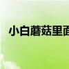 小白蘑菇里面發(fā)黑了還能吃嗎（小白蘑菇）