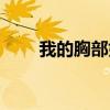 我的胸部好小怎么辦（我的胸小嗎）