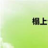 榻上公子漫畫（榻上公子）