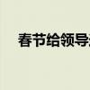 春節(jié)給領(lǐng)導(dǎo)送禮時間（春節(jié)給領(lǐng)導(dǎo)送禮）