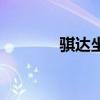 騏達(dá)坐墊套子（騏達(dá)車座套）