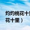 灼灼桃花十里芳華酒一壺 太湖情人（灼灼桃花十里）