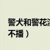 警犬和警花演員表介紹（警犬與警花2為什么不播）
