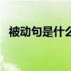 被動句是什么意思?。ū粍泳涫鞘裁匆馑迹? title=