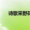 詩(shī)歌采野花課件（壞蝶王別亂采野花）