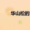 華山松的寓意象征是什么（華山松）