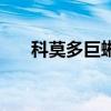 科莫多巨蜥會攻擊人嗎（科莫多巨蜥）