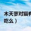 木天蓼對貓有什么作用（貓咪磨牙棒木天蓼能吃么）
