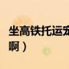 坐高鐵托運寵物多少錢（高鐵托運寵物多少錢?。? title=