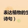表達(dá)植物的生命力頑強的詩句(生命力頑強的詩句) 表達(dá)植物的生命力頑強的詩句(生命力頑強的詩句)