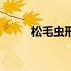松毛蟲形態(tài)（松毛蟲的行進行列）
