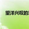 望洋興嘆的意思10字（望洋興嘆的意思）