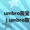 umbro茵寶 X ANGUS CHIANG聯(lián)名休閑鞋（umbro茵寶）