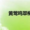黃鶯鳴翠柳下一句對聯(lián)（黃鶯鳴翠柳）
