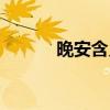 晚安含義表示什么（晚安含義）