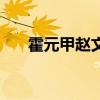 霍元甲趙文卓電視?。ɑ粼宗w文卓）