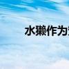 水獺作為寵物（水獺當(dāng)寵物的危害）