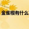 金雀根有什么功效（中藥金雀根的功效禁忌）