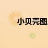 小貝殼圖片（女生的小貝殼指什么）