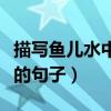 描寫魚兒水中游的優(yōu)美句子（描寫魚兒水中游的句子）