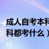 成人自考本科考什么專業(yè)比較好（成人自考本科都考什么）