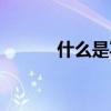 什么是寫(xiě)真意思（什么是寫(xiě)真）
