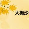 大梅沙怎么預約入園（大梅沙）