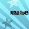哪里海參便宜一點(diǎn)（哪里海參便宜）